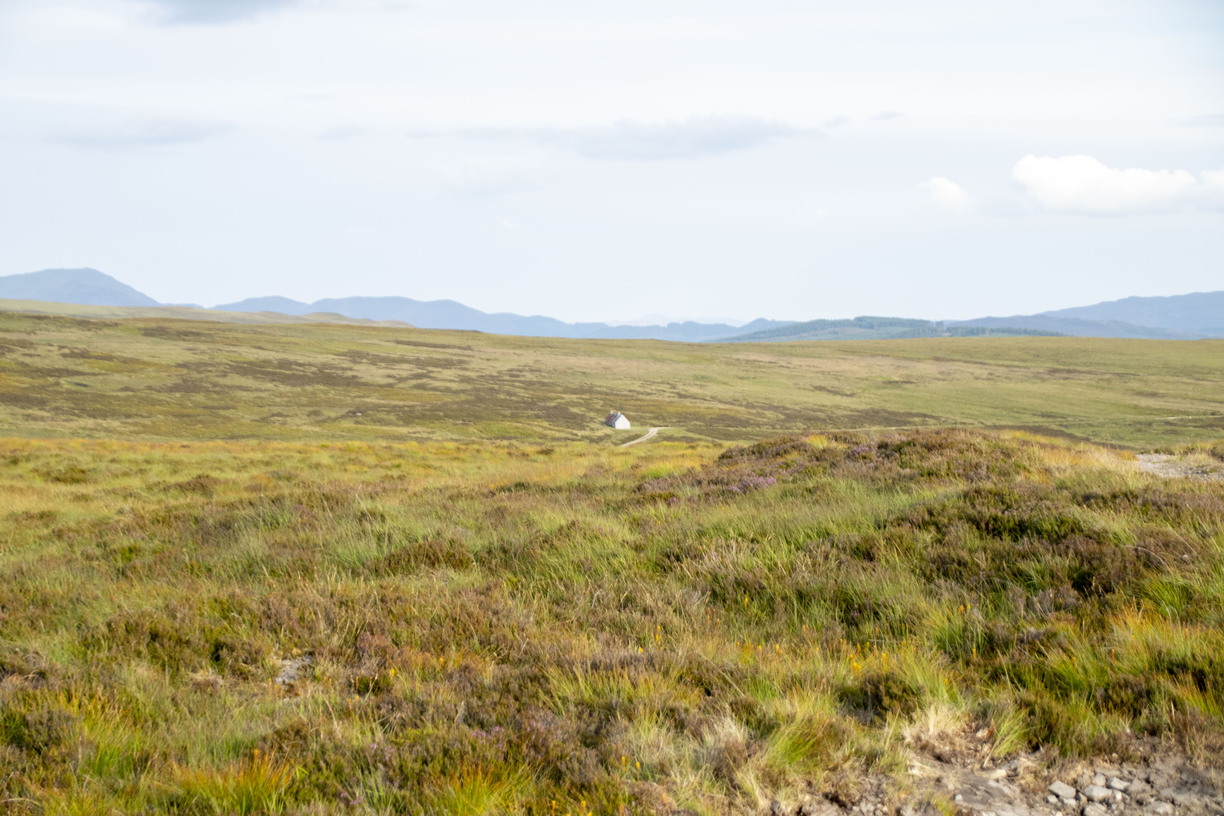 A small white house sits isolated in the middle of a vast, rolling moorland landscape covered in grasses and heather, with distant mountains under a pale, overcast sky.