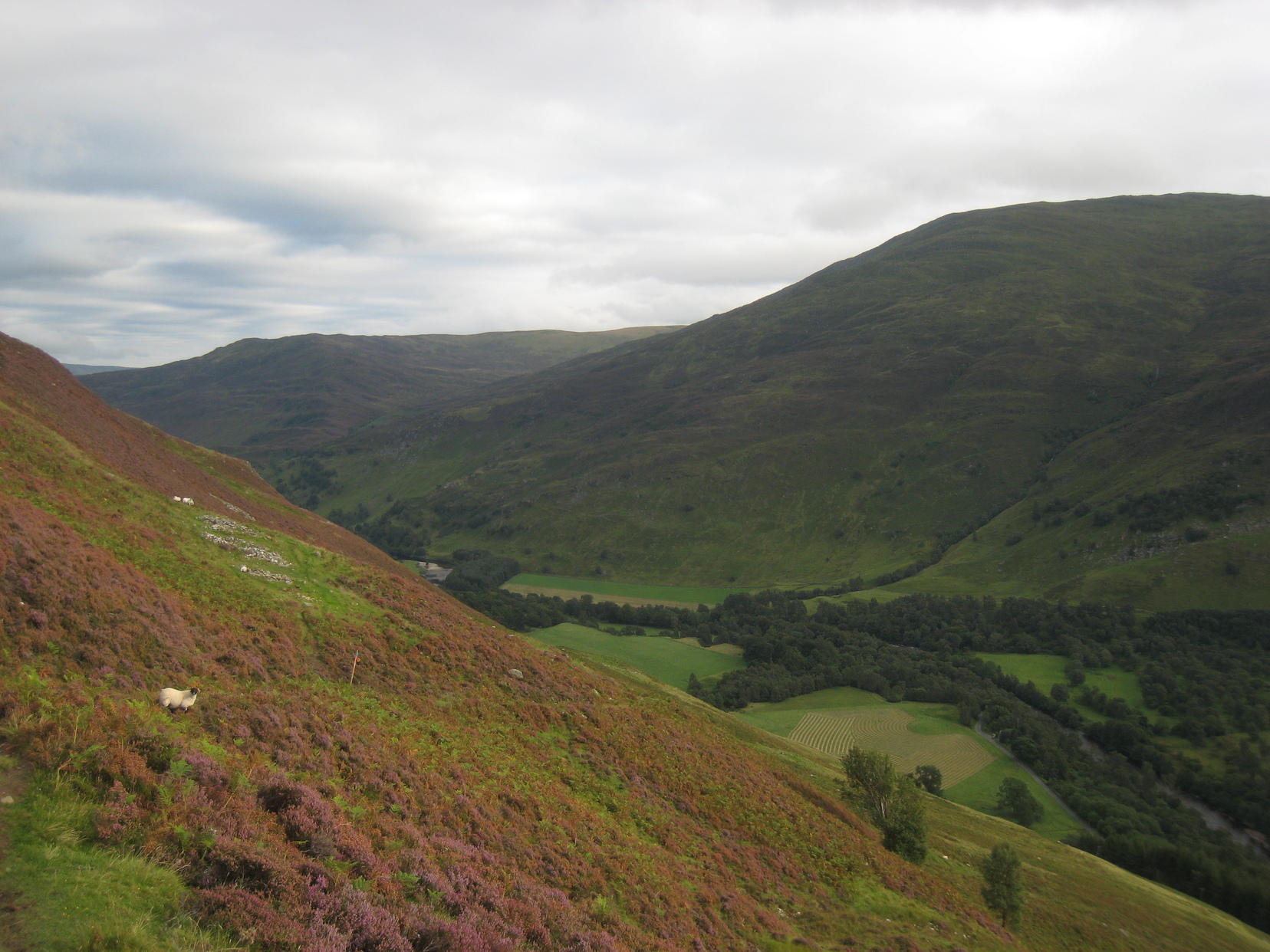 Access rights and responsibilities in Glen Lyon, Perthshire