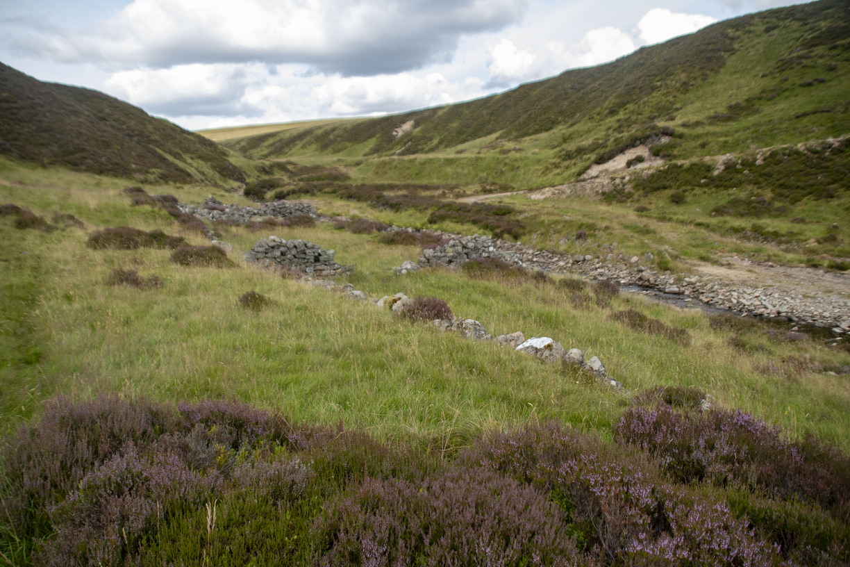 A grassy valley between rolling moorland hills, featuring patches of purple heather in the foreground and the low, crumbling stone remains of an old structure near a shallow stream, all under a cloudy sky.