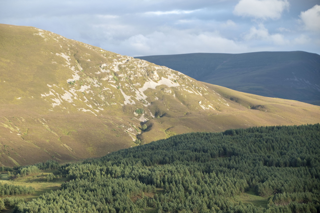 A vast landscape featuring a dense coniferous forest in the foreground, with a large, golden-brown, rocky hill illuminated by sunlight in the background under a partly cloudy sky.
